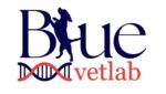 bluevetlab.com